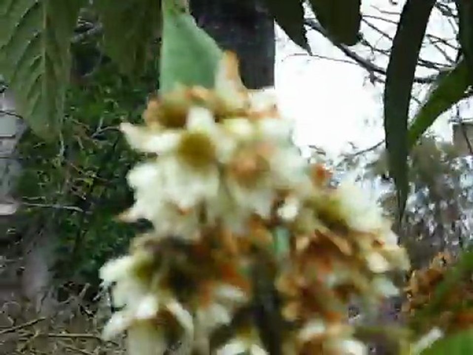 PAŞAPINAR 2012 OCAK 028