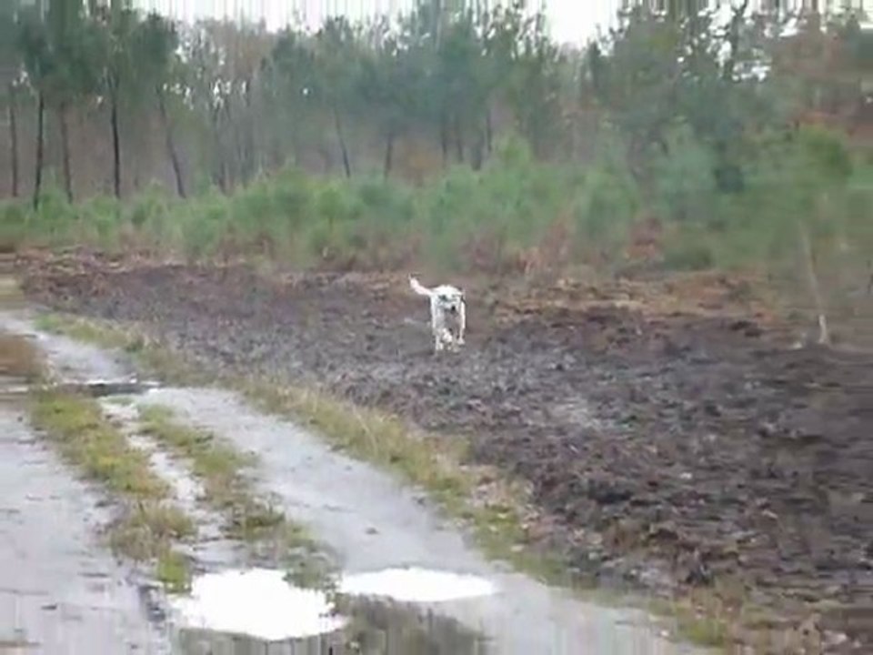 Lucky en balade