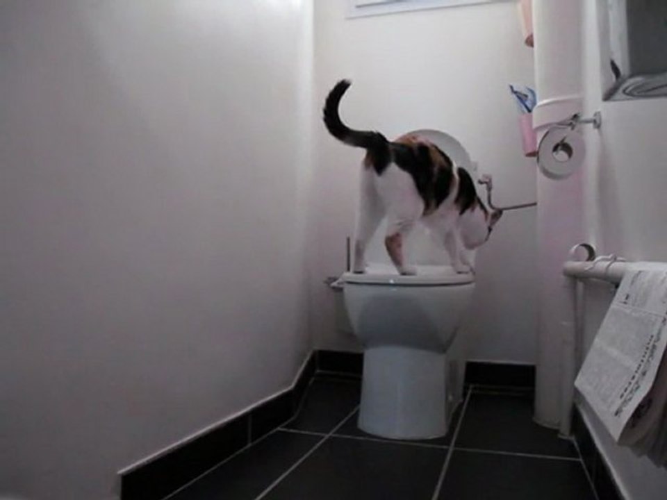 KOS-MOS fait pipi sur les toilettes