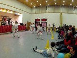 Demonstração taekwondo 8/1/12