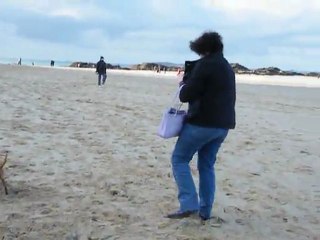 2012_stm08janv - arrivee sur la plage