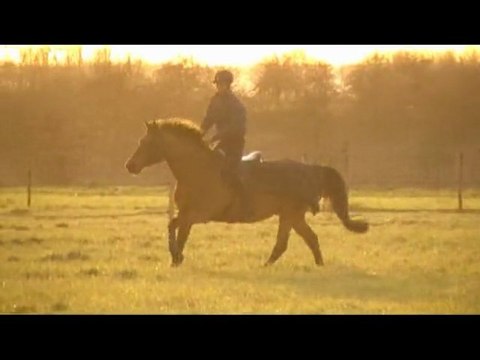 La pampa du Haras du Parisis