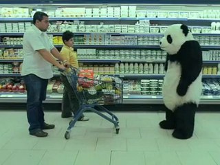 NE DITES PAS NON AU PANDA