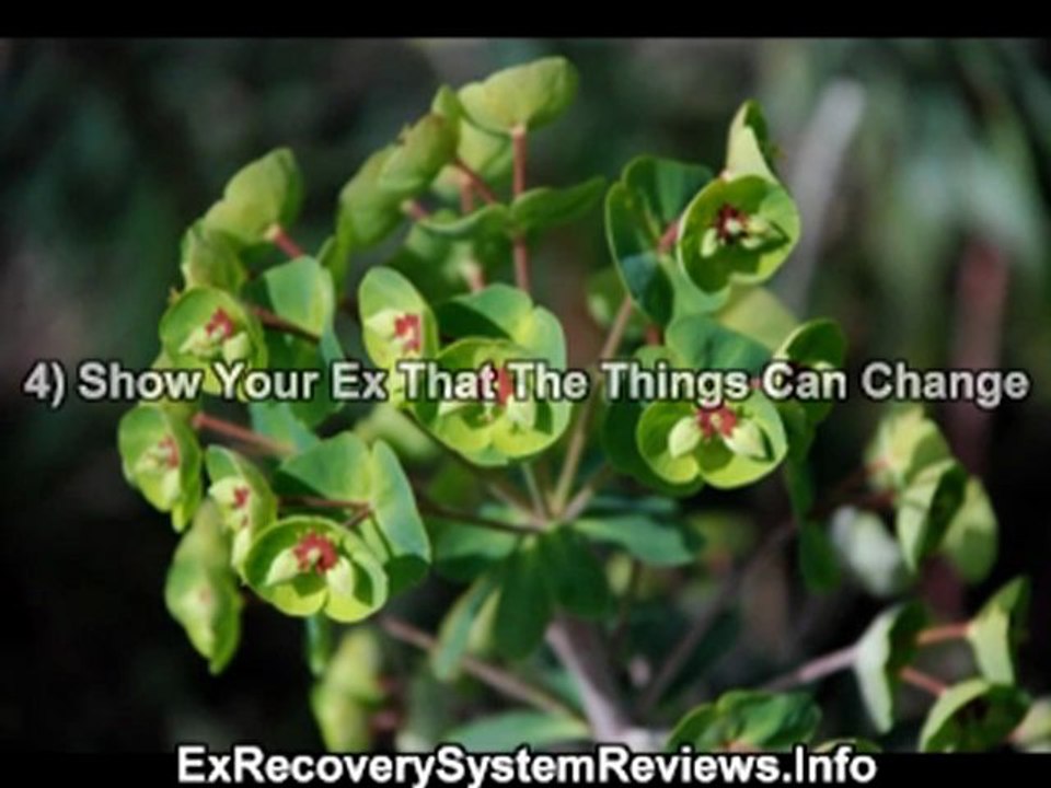 Make Your Ex Boyfriend Want You Back