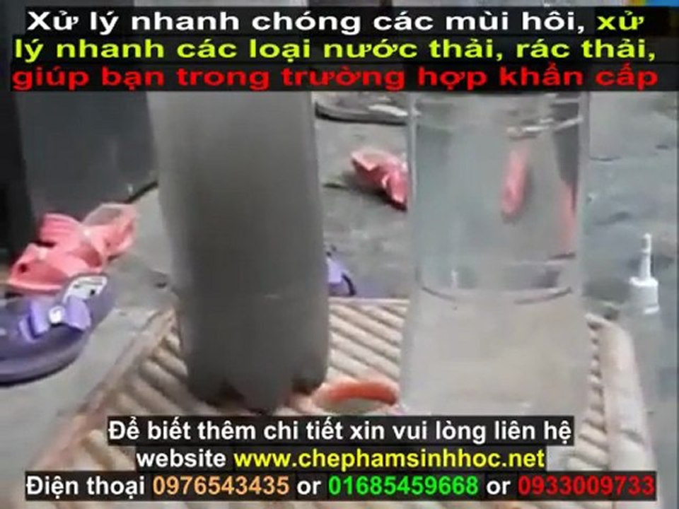 Xử lý nước thải thủy sản - nước thải chăn nuôi với chế phẩm sinh học Weviro