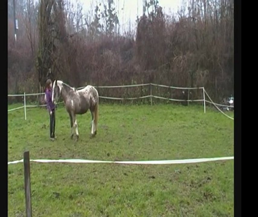 Aloha 8 janvier 2012 (2)