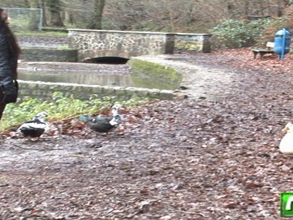 Rantamplan "Noir & Blanc " Ledoux paradis "Télé SPI" (B)