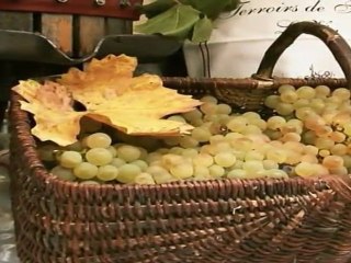 Retour en images 2011 - Montlouis-sur-Loire