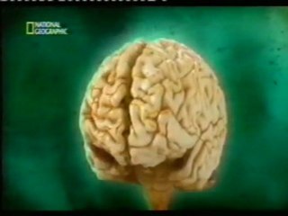 Fiabilidad de la memoria: ¿Eres un buen testigo?