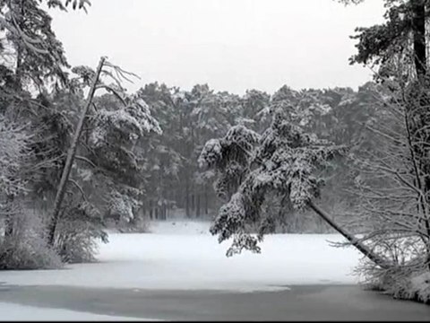 После снегопада