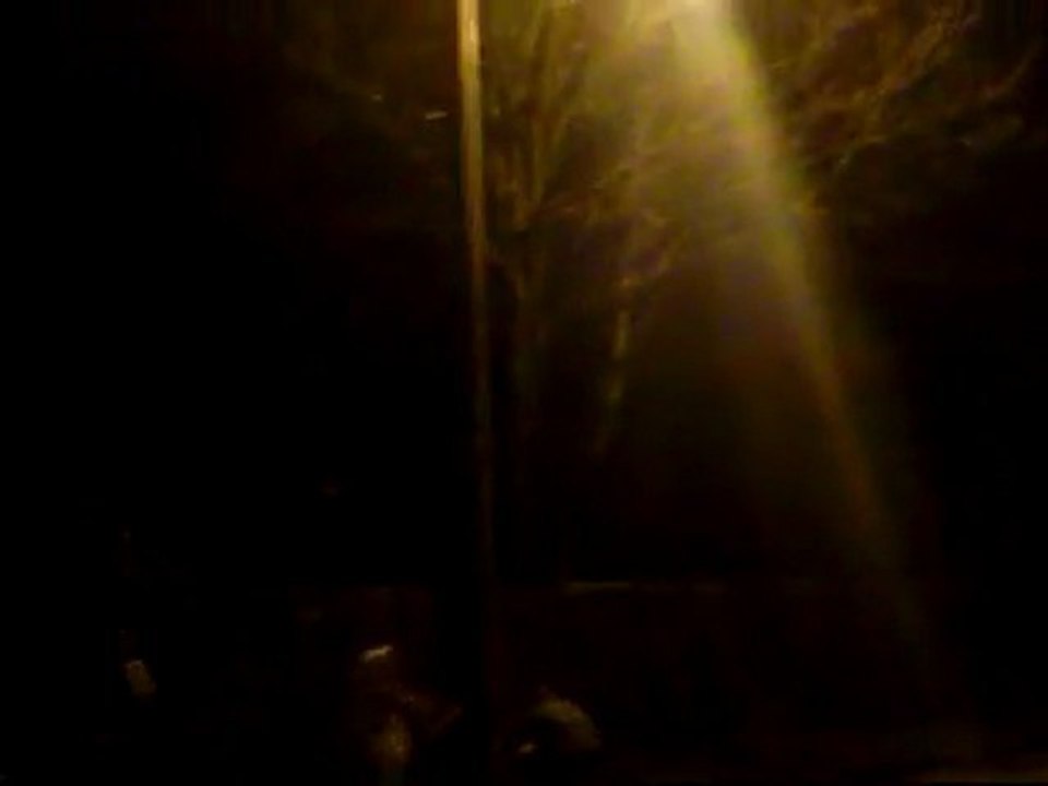 Vidéo038