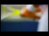 Webcast Radek Stepanek vs. Jarkko Nieminen in HD - Sydney ATP Tour (AUS)