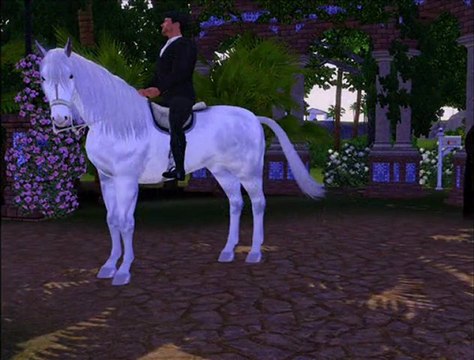 Caballos andaluces Claro de Luna de Grier