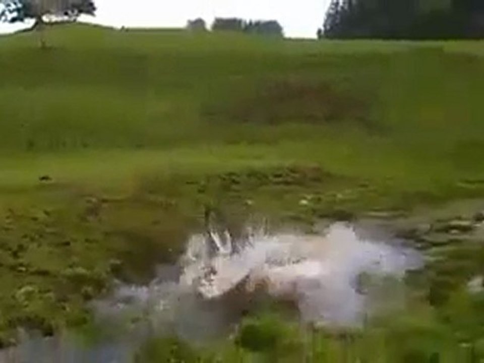 bici montaña fail