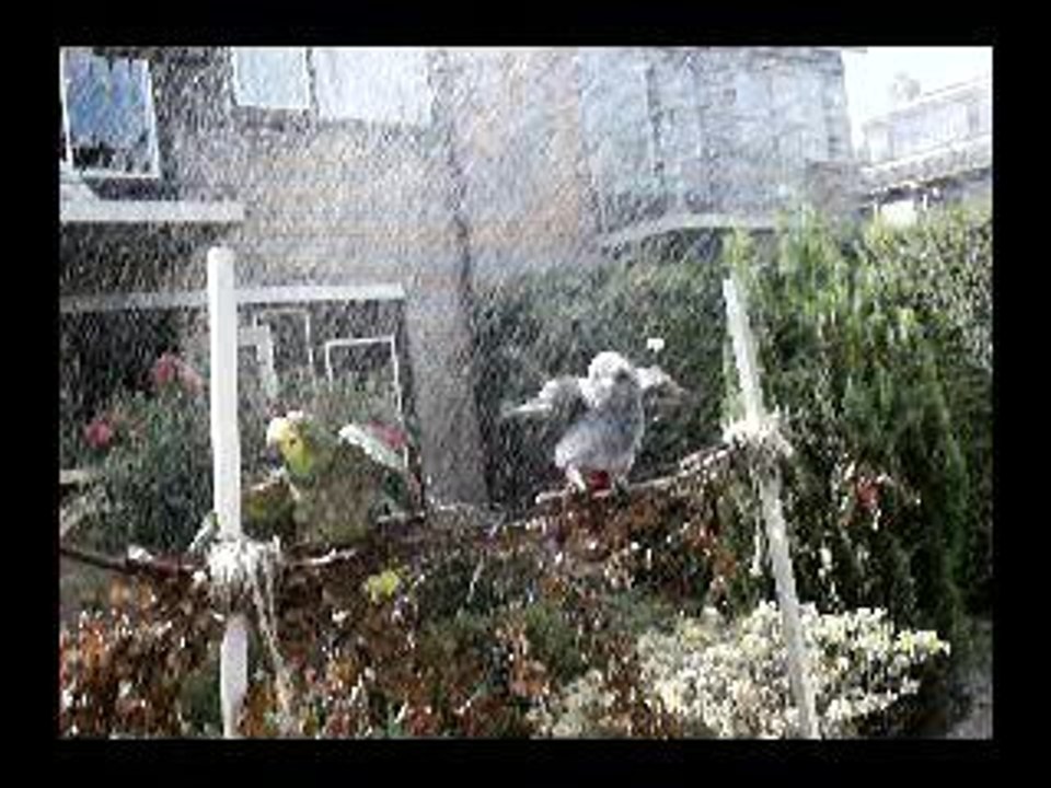 6 september 2006 044