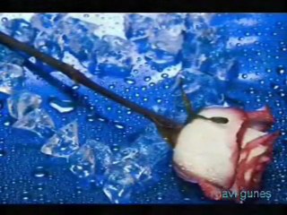 Acının öyküsü Tual..d