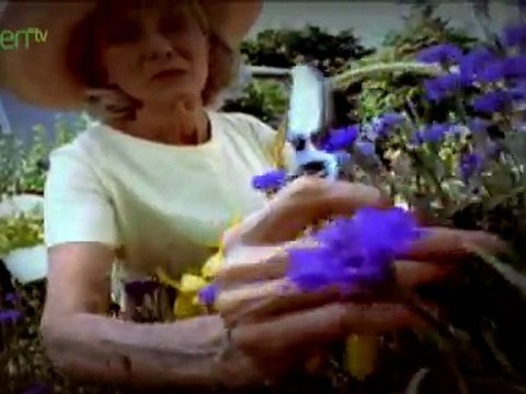 This is the National Wildlife Federation - 'Now's Our Time'