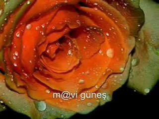 Ajda Pekkan.   Senin için  Burdaym.d