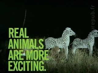 Zoo stars: caged-in animals fight back