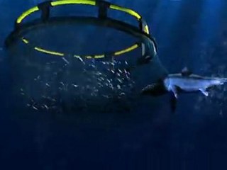 Third bull shark caught off Taiwan coast in a month