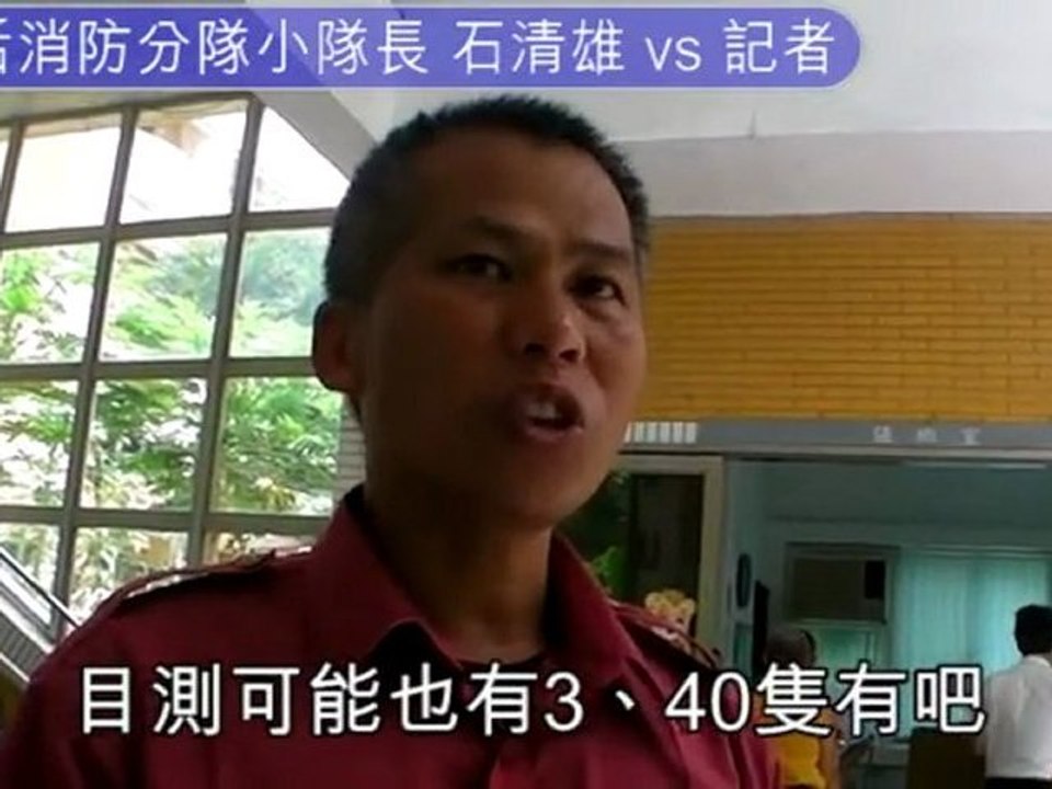 Firefighters attacked by gang of monkeys