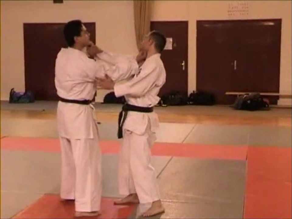 Stage Karate Jitsu Self Défense du 24 mars 2010 à Compiègne