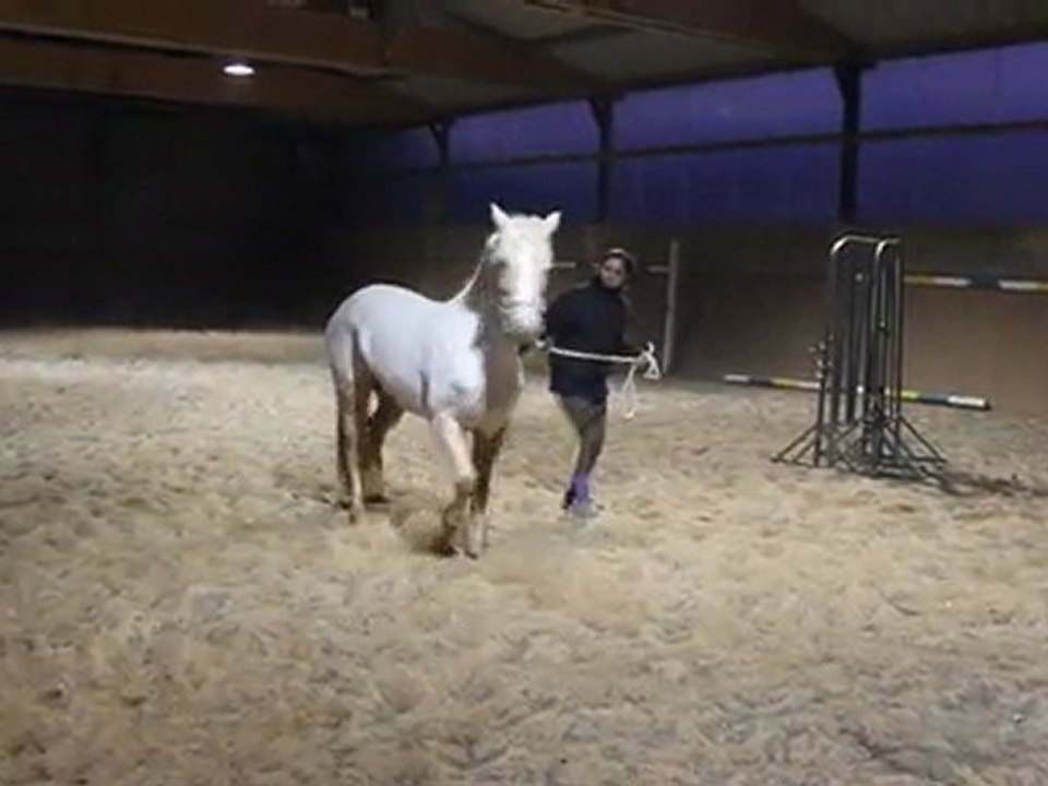 Travail au sol avec Tra'Tra'