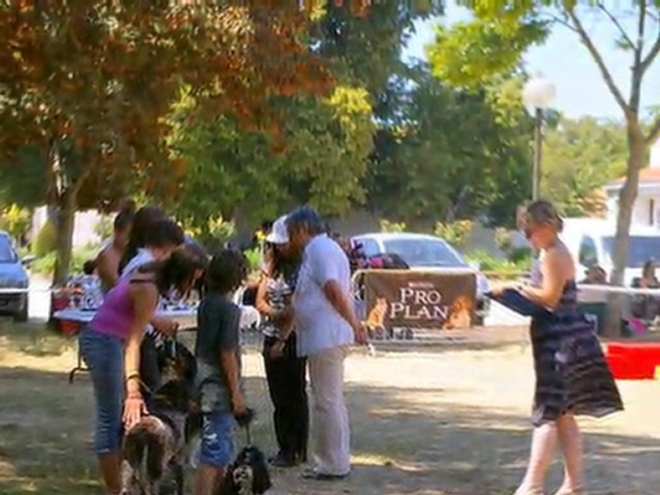 Exposition Canine Nationale Aytré 2011