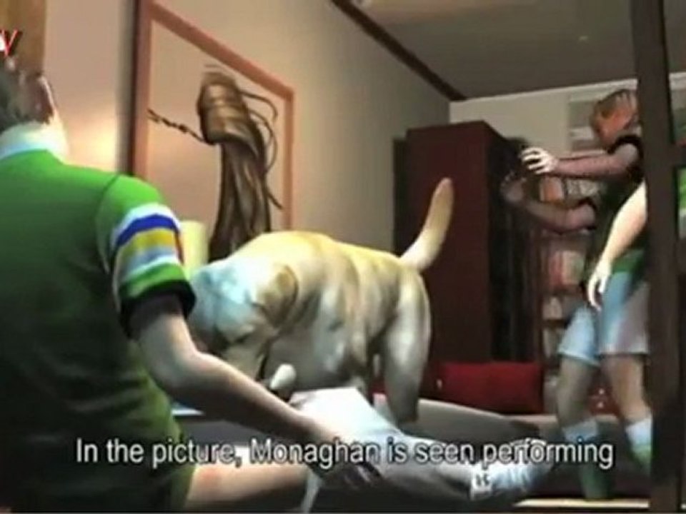 Happy Tiger-versary! Looking back at a year of animated scandals.