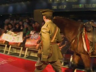 Um cavalo como ator