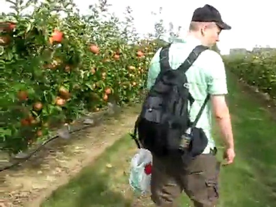 genç çiftçilere bodur meyve bahçeleri kurulur