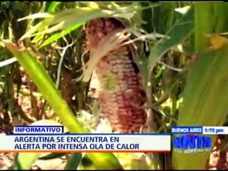 Alerta amarilla en Argentina por dura ola de calor