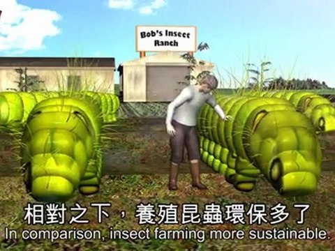 Eating Insects: Bugs coming to a menu near you