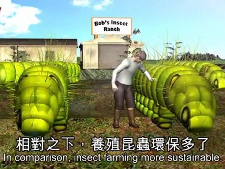 Eating Insects: Bugs coming to a menu near you