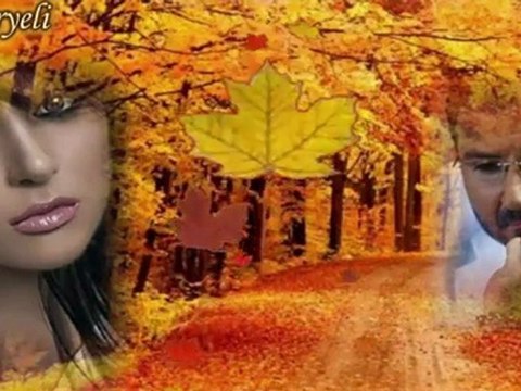 Cemal Safi Şiiri / Yar Olamadın/ Yorum : Bedirhan Gökçe