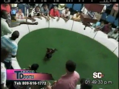 3era Parte Programa TECNODEPORTES 5-1-2012 - Cartelera Jugada del Coliseo San Martin EL 9 la cual fuè cubierta por TECNODEPORTES