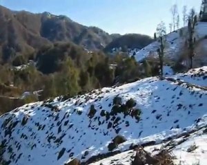 Winter in Guria (village life).Зима в Гурии(жизнь в деревне).