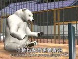 Polar bear Knut dies, germany in mourning