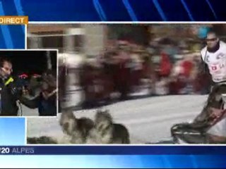 La Grande Odyssée, les contrôles vétérinaires