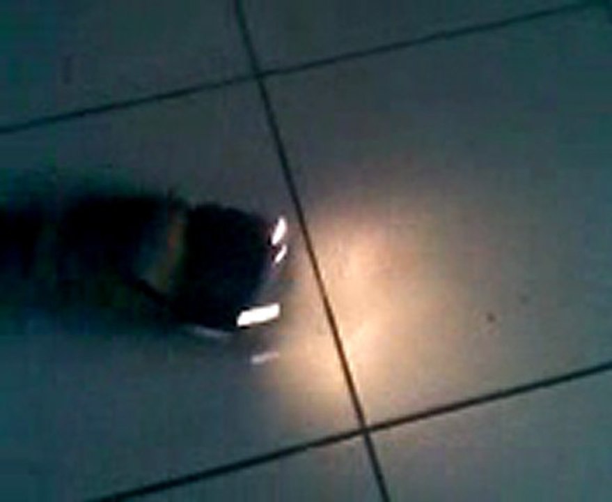 kumandalı  araba  gösteri  yapıyor