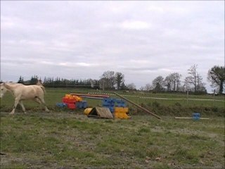 Mah Jongg Tartifume Connemara par Naughty a louer