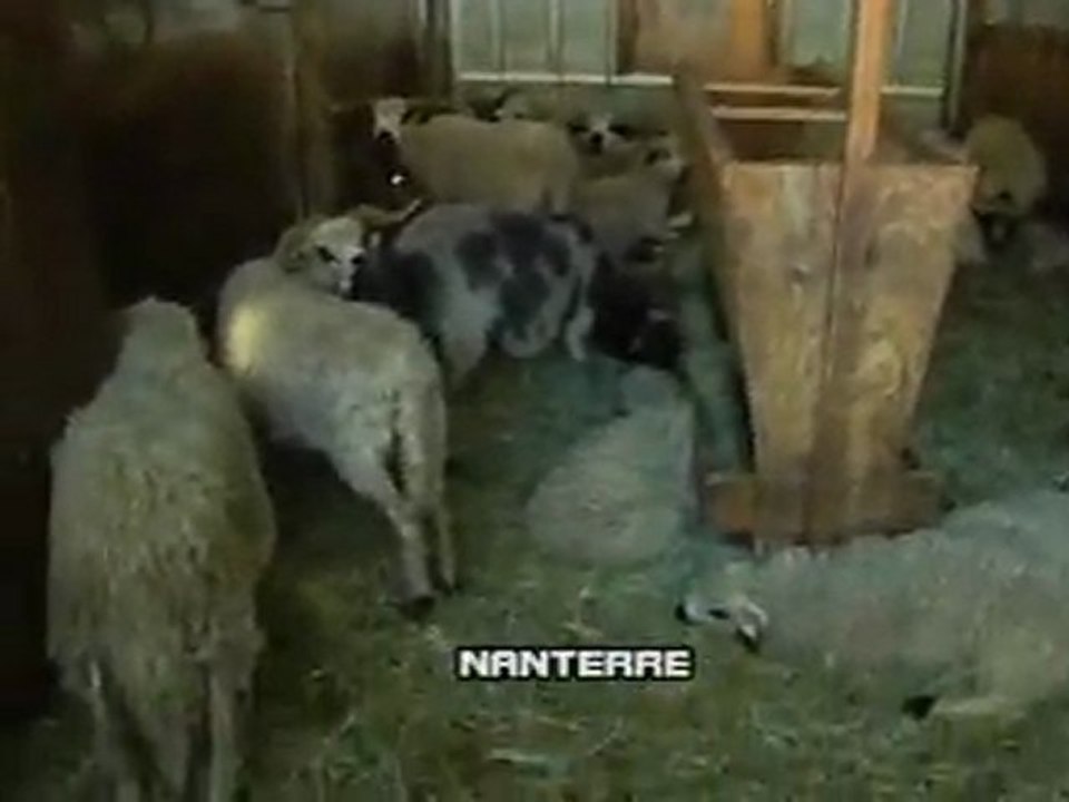 LA FERME DU BONHEUR