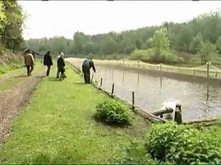 Quand balbuzard et pisciculteur font bon ménage