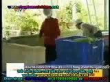 VTV9 Vườn Sinh Thái Trung Việt - Chế phẩm sinh học - phân vi sinh thế hệ mới
