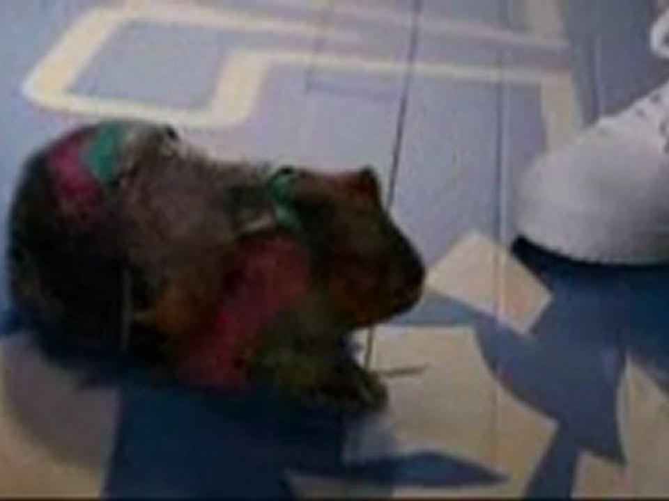 Sky High bande annonce vf
