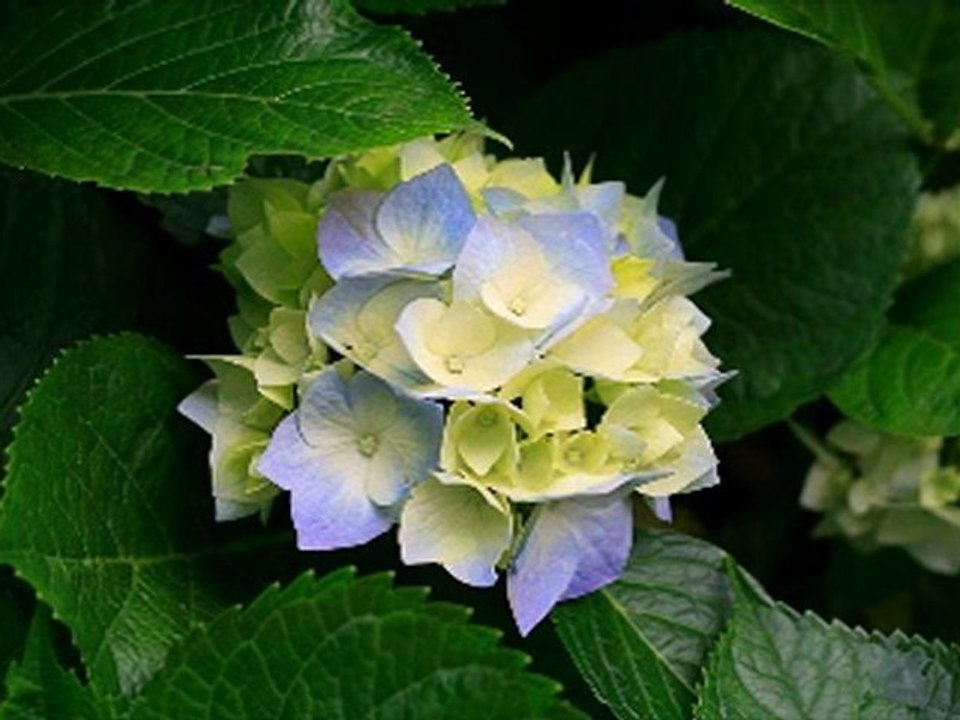mars 24, 2008
