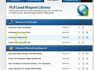Daily Income Network VIP Income