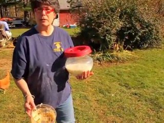 Rose's Recipes for Healthy Hens