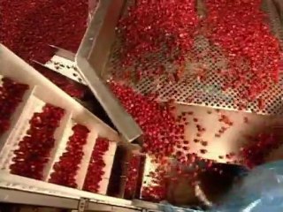 CCF (les machines automatisées)