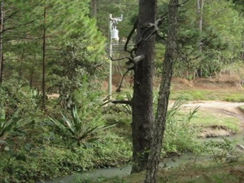 Terrenos En Honduras, Terreno de 2 Manzanas,